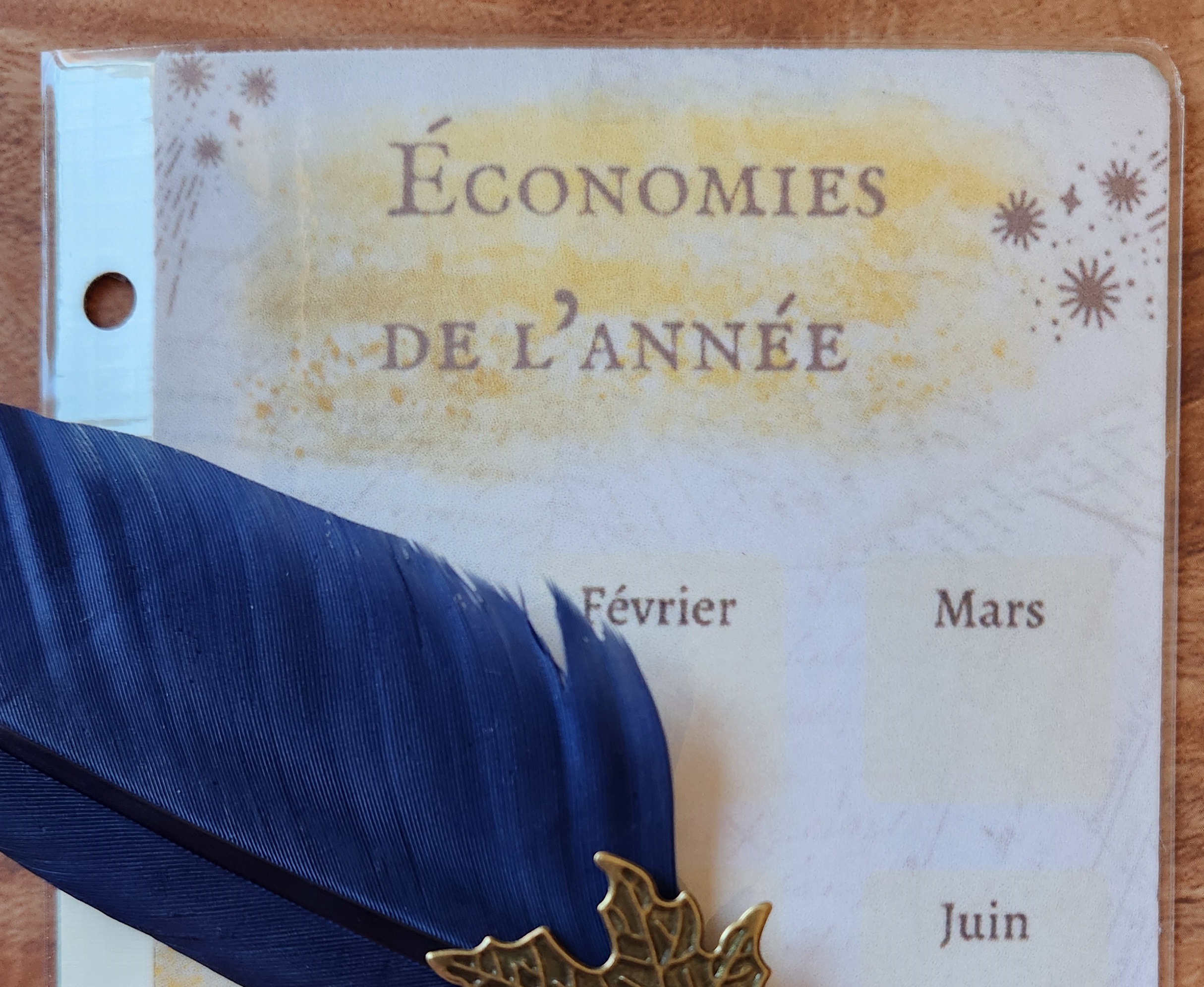 Économies de l'Année